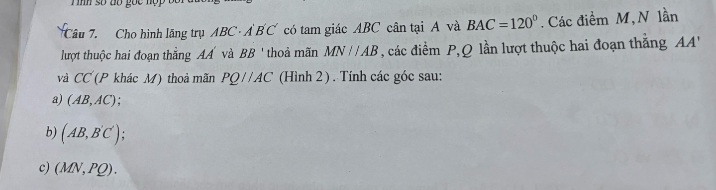 Tình số đổ gốc hợp
Câu 7. Cho hình lăng trụ ABC · A'B'C C có tam giác ABC cân tại A và BAC=120°. Các điểm M, N lần
lượt thuộc hai đoạn thắng AA' và BB ' thoả mãn MN//AB , các điểm P, Q lần lượt thuộc hai đoạn thắng AA'
và CC (P khác M) thoả mãn PQ//AC (Hình 2) . Tính các góc sau:
a) (AB,AC)
b) (AB,B'C')
c) (MN,PQ).