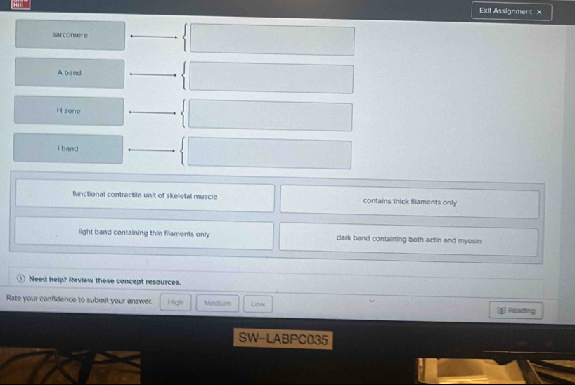 Exit Assignment x
sarcomere
A band
H zone
I band
functional contractile unit of skeletal muscle contains thick filaments only
light band containing thin filaments only dark band containing both actin and myosin
Need help? Review these concept resources.
Rate your confidence to submit your answer. High Medium Low
[j Reading
SW-LABPC035