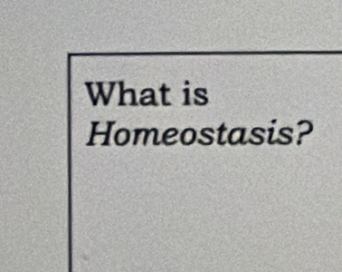 What is 
Homeostasis?