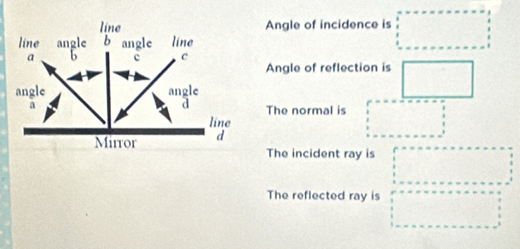 Angle of incidence is 
Angle of reflection is 
The normal is 
The incident ray is 
The reflected ray is