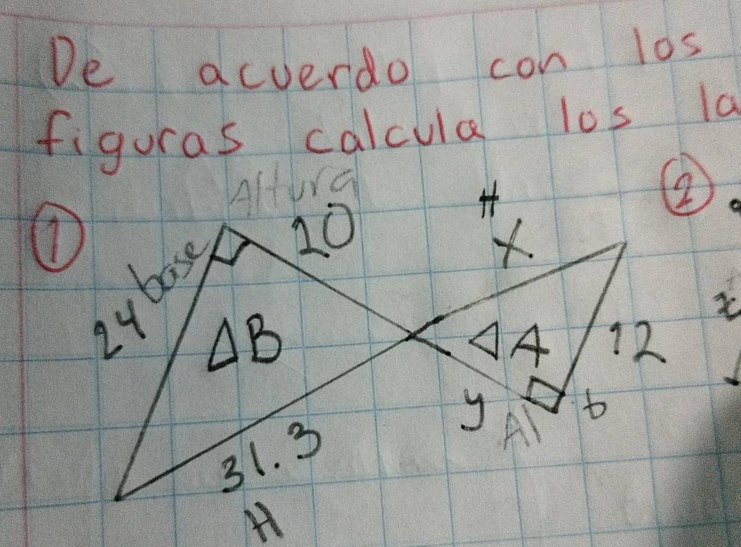 De acverdo con l0s
figuras calcula los la 
①