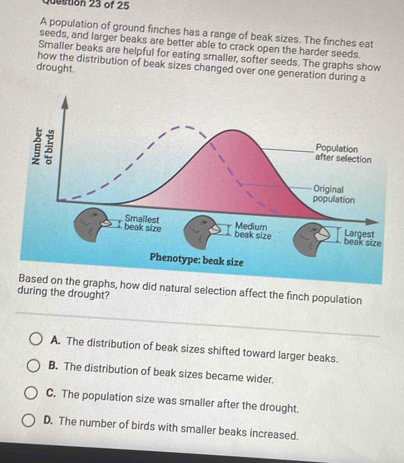 A population of ground finches has a range of beak sizes. The finches eat
seeds, and larger beaks are better able to crack open the harder seeds.
Smaller beaks are helpful for eating smaller, softer seeds. The graphs show
how the distribution of beak sizes changed over one generation during a
drought.
Phenotype: beak size
Based on the graphs, how did natural selection affect the finch population
during the drought?
A. The distribution of beak sizes shifted toward larger beaks.
B. The distribution of beak sizes became wider.
C. The population size was smaller after the drought.
D. The number of birds with smaller beaks increased.