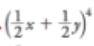 ( 1/2 x+ 1/2 y)^4