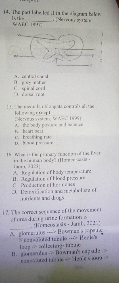 The part labelled II in the diagram below
is the _. (Nervous system,
WAEC 1997)
A. central canal
B. grey matter
C. spinal cord
D. dorsal root
15. The medulla oblongata controls all the
following except_ .
(Nervous system, WAEC 1999)
A. the body posture and balance
B. heart beat
C. breathing rate
D. blood pressure
16. What is the primary function of the liver
in the human body? (Homeostasis -
Jamb, 2023)
A. Regulation of body temperature
B. Regulation of blood pressure
C. Production of hormones
D. Detoxification and metabolism of
nutrients and drugs
17. The correct sequence of the movement
of urea during urine formation is
_
. (Homeostasis - Jamb, 2021)
A. glomerulus ---> Bowman's capsule -
> convoluted tubule ---> Henle's
loop -> collecting- tubule
B. glomerulus -> Bowman's capsule
convoluted tubule -> Henle's loop