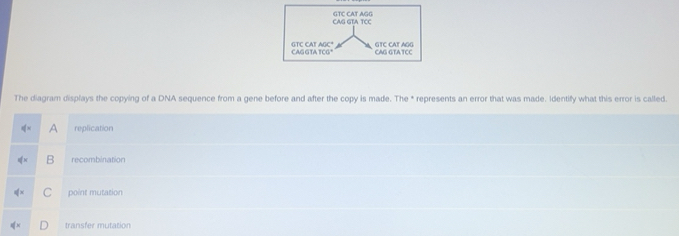 Solved: The diagram displays the copying of a DNA sequence from a gene ...
