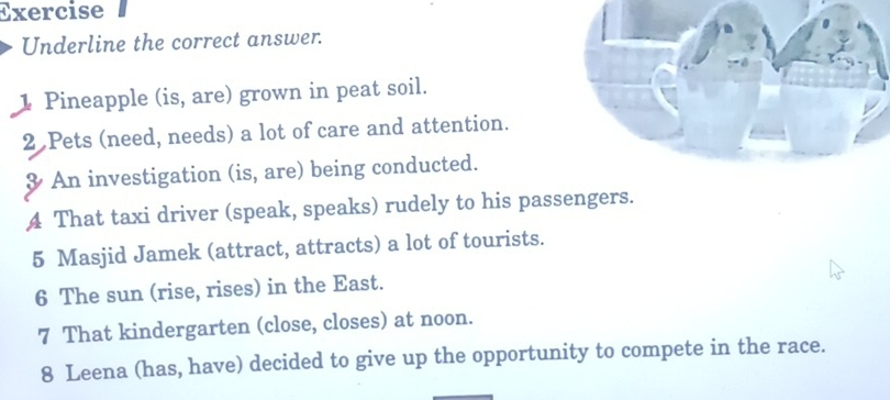 Exercise 
Underline the correct answer. 
1 Pineapple (is, are) grown in peat soil. 
2 Pets (need, needs) a lot of care and attention. 
& An investigation (is, are) being conducted. 
4 That taxi driver (speak, speaks) rudely to his passengers. 
5 Masjid Jamek (attract, attracts) a lot of tourists. 
6 The sun (rise, rises) in the East. 
7 That kindergarten (close, closes) at noon. 
8 Leena (has, have) decided to give up the opportunity to compete in the race.