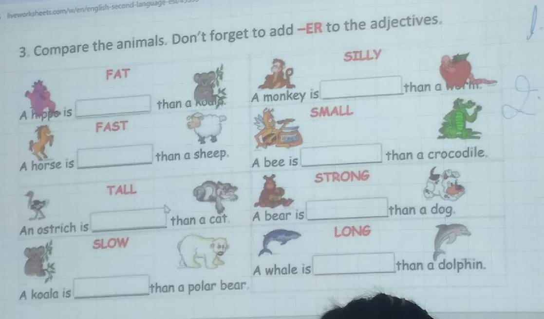 liveworksheets.com/w/en/english-second-language-(4 
3. Compare the animals. Don’t forget to add —ER to the adjectives. 
SILLY 
FAT 
than a kodld. A monkey is_ 
than a 
A hippo is _SMALL 
FAST 
A horse is _than a sheep. A bee is _than a crocodile. 
TALL STRONG 
An ostrich is _than a cat A bear is_ 
than a dog 
LONG 
SLOW 
A whale is_ than a dolphin. 
A koala is_ than a polar bear