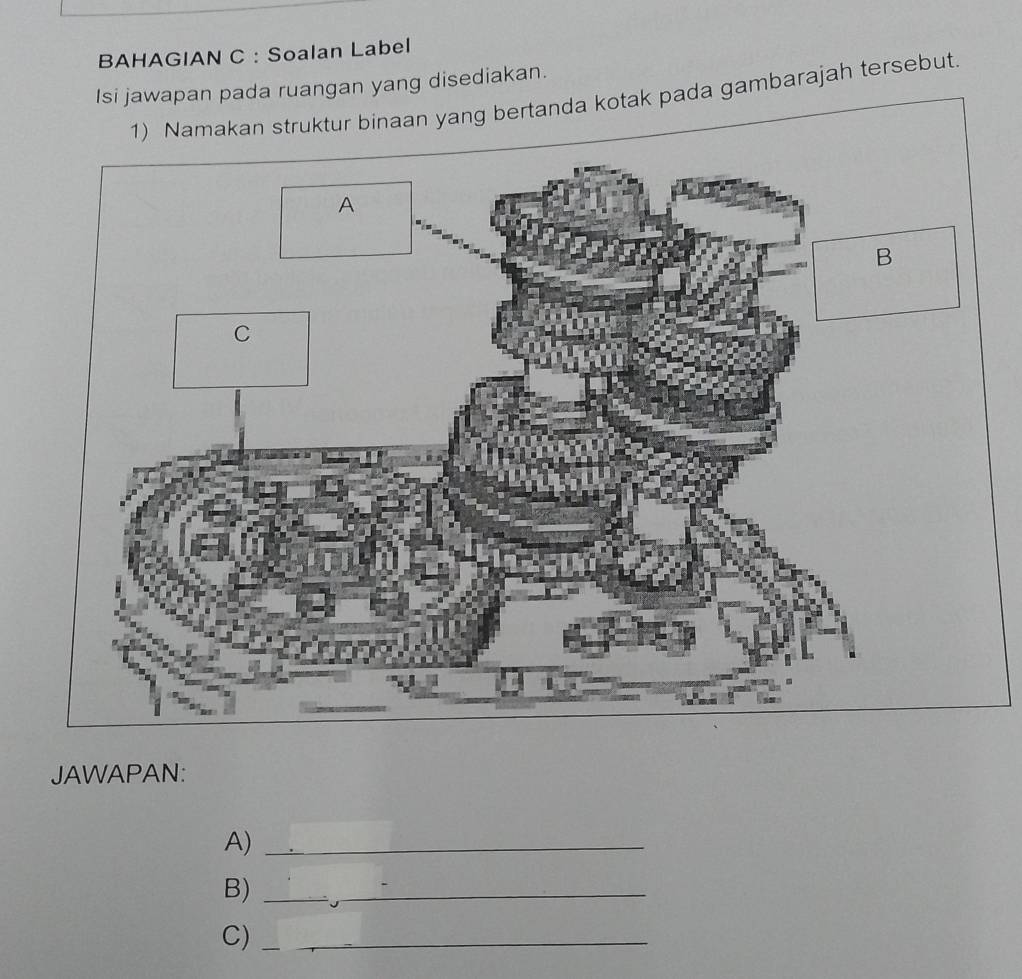 BAHAGIAN C : Soalan Label 
an yang disediakan. 
1) Namakan struktur binaan yang bertanda kotak pada gambarajah tersebut. 
JAWAPAN: 
A)_ 
B)_ 
C)_