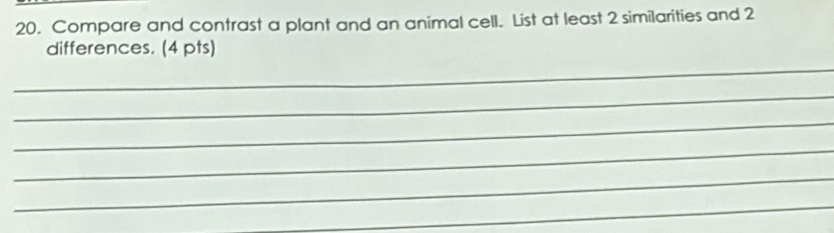 Compare and contrast a plant and an animal cell. List at least 2 similarities and 2
differences. (4 pts) 
_ 
_ 
_ 
_ 
_ 
_