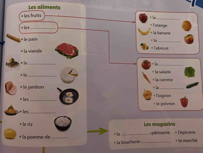 Les aliments 
les fruits 
la_ 
les_ 
l'orange 
la banane 
le pain la_ 
l'abricot 
la viande 
le_ 
* la_ 
la salade 
le_ 
la carotte 
le jambon la_ 
l'oignon 
les_ 
le poivron 
• les_ 
le riz Les magasins 
la 
la pomme de_ _pâtisserie l'épicerie 
la boucherie-._ le marché