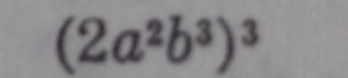 (2a^2b^3)^3