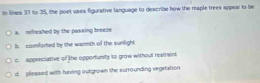 In llimes 31 to 35, the poet uses figurative language to describe how the maple trees appear to be
a. refreshed by the passing breeze
b. comforted by the warmth of the sunlight
c. appreciative of the opportunity to grow without restraint
d. pleased with having outgrown the surrounding vegetation