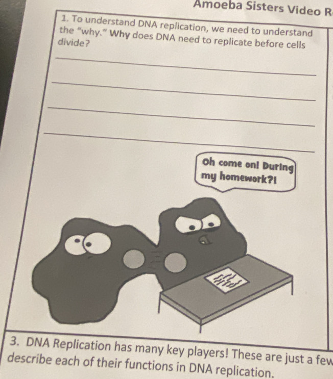 Amoeba Sisters Video R 
1. To u 
3. DNA Replication has many key players! These are just a few 
describe each of their functions in DNA replication.