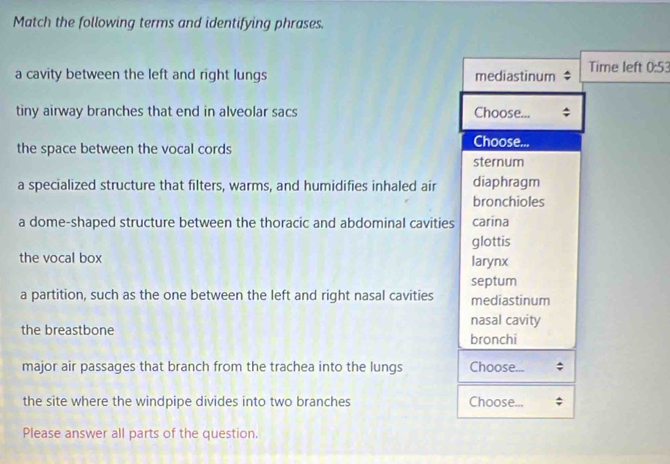 Match the following terms and identifying phrases.
a cavity between the left and right lungs mediastinum Time left 0:53
tiny airway branches that end in alveolar sacs Choose...
the space between the vocal cords
Choose...
sternum
a specialized structure that filters, warms, and humidifies inhaled air diaphragm
bronchioles
a dome-shaped structure between the thoracic and abdominal cavities carina
glottis
the vocal box larynx
septum
a partition, such as the one between the left and right nasal cavities mediastinum
nasal cavity
the breastbone
bronchi
major air passages that branch from the trachea into the lungs Choose...
the site where the windpipe divides into two branches Choose...
Please answer all parts of the question.