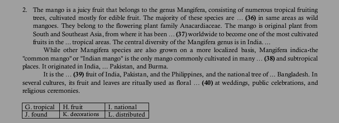 The mango is a juicy fruit that belongs to the genus Mangifera, consisting of numerous tropical fruiting 
trees, cultivated mostly for edible fruit. The majority of these species are … (36) in same areas as wild 
mangoes. They belong to the flowering plant family Anacardiaceae. The mango is original plant from 
South and Southeast Asia, from where it has been … (37) worldwide to become one of the most cultivated 
fruits in the ... tropical areas. The central diversity of the Mangifera genus is in India. ... 
While other Mangifera species are also grown on a more localized basis, Mangifera indica-the 
'common mango'' or ''Indian mango'' is the only mango commonly cultivated in many …. (38) and subtropical 
places. It originated in India, ... Pakistan, and Burma. 
It is the … (39) fruit of India, Pakistan, and the Philippines, and the national tree of ... Bangladesh. In 
several cultures, its fruit and leaves are ritually used as floral ….. (40) at weddings, public celebrations, and 
religious ceremonies.