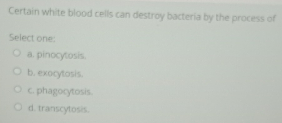 Certain white blood cells can destroy bacteria by the process of
Select one:
a. pinocytosis.
b. exocytosis.
c. phagocytosis.
d. transcytosis.