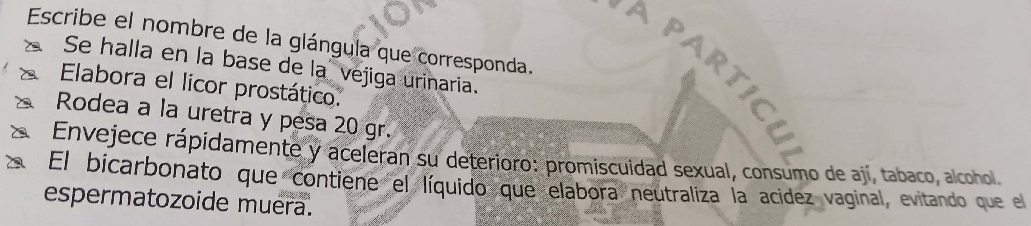 Escribe el nombre de la glángula que corresponda. 
A PARTI 
Se halla en la base de la vejiga urinaria. 
Elabora el licor prostático. 
Rodea a la uretra y pesa 20 gr. 
Envejece rápidamente y aceleran su deterioro: promiscuidad sexual, consumo de ají, tabaco, alcohol. 
El bicarbonato que contiene el líquido que elabora neutraliza la acidez vaginal, evitando que el 
espermatozoide muera.