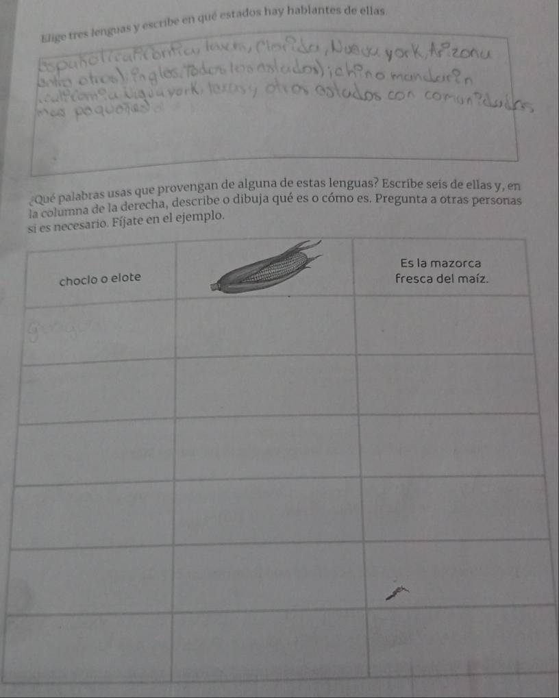 Elige tres lenguas y escribe en qué estados hay hablantes de ellas 
¿Qué palabras usas que provengan de alguna de estas lenguas? Escribe seís de ellas y, en 
la columna de la derecha, describe o dibuja qué es o cómo es. Pregunta a otras personas 
plo.