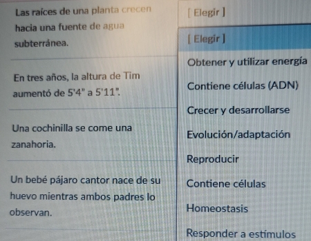 Las raíces de una planta crecen 
ía
o
Responder a estímulos