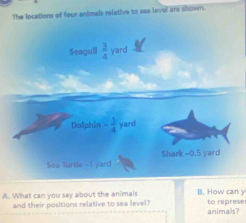 The locations of four animals relative to sea lavel are shown. 
Seagull  3/4  yard
Dolphin - 1/4  yard
Shark -0.5 yard
Sea Turtle -1 yard
A. What can you say about the animals B. How can y 
and their positions relative to sea level? to represe 
animals?