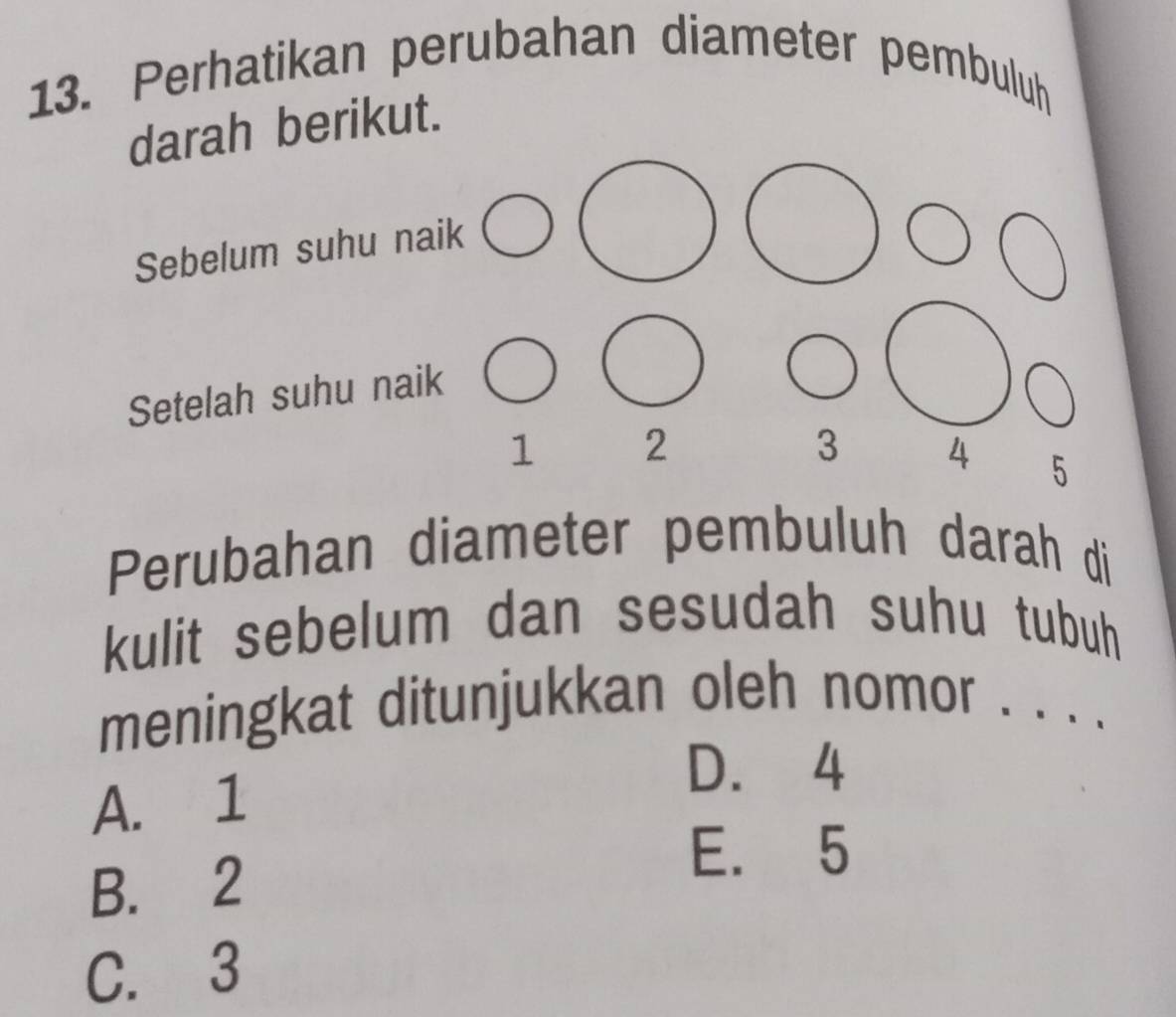 Perhatikan perubahan diameter pembuluh
darah berikut.
Sebelum suhu naik
Setelah suhu naik
1 2
3 4 5
Perubahan diameter pembuluh darah di
kulit sebelum dan sesudah suhu tubuh
meningkat ditunjukkan oleh nomor . . .
A. 1
D. 4
B. 2
E. 5
C. 3