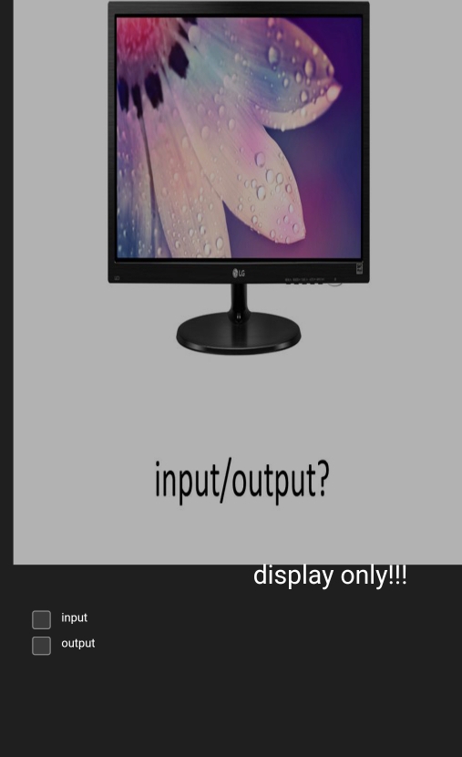 input/output? 
display only!!! 
input 
output