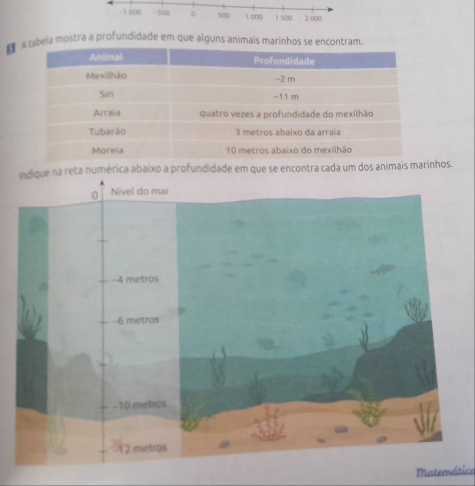 -1 000 -500 0 500 1 000 1 500 2.000
beia mostra a profundidade em que alguns animais marinhos se encontram. 
indique na reta numérica abaixo a profundidade em que se encontra cada um dos animais marinhos. 
Matemática