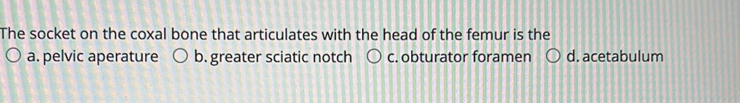 The socket on the coxal bone that articulates with the head of the femur is the
a. pelvic aperature b. greater sciatic notch c. obturator foramen d. acetabulum