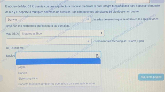 El núcleo de Mac OS X, cuenta con una arquitectura modular mediante la cual integra funcionalidad para soportar el manejo 
de red y el soporte a múltiples sistemas de archivos. Los componentes principales se distribuyen en cuatro: 
Darwin : Interfaz de usuario que se utiliza en las aplicaciones 
junto con los elementos gráficos para las pantallas. 
Mac OS X: Sistema gráfico 
: combinan tres tecnologías: Quartz, Open 
GL, Quicktime 
Núcleo 
AQUA 
Darwin 
Sistema gráfico Siguiente página 
Soporta múltiples ambientes operativos para sus aplicaciones