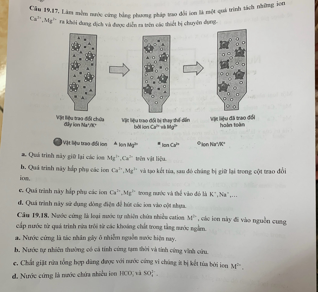 Làm mềm nước cứng bằng phương pháp trao đổi ion là một quá trình tách những ion
Ca^(2+),Mg^(2+) ra khỏi dung dịch và được diễn ra trên các thiết bị chuyên dụng.
Vật liệu trao đổi ion △ lonMg^(2+) IonCa^(2+) OlonNa^+/K^+
a. Quá trình này giữ lại các ion Mg^(2+),Ca^(2+) trên vật liệu.
b. Quá trình này hấp phụ các ion Ca^(2+),Mg^(2+) và tạo kết tủa, sau đó chúng bị giữ lại trong cột trao đổi
ion.
c. Quá trình này hấp phụ các ion Ca^(2+),Mg^(2+) trong nước và thế vào đó là K*,Na*,...
d. Quá trình này sử dụng dòng điện để hút các ion vào cột nhựa.
Câu 19.18. Nước cứng là loại nước tự nhiên chứa nhiều cation M^(2+) , các ion này đi vào nguồn cung
cấp nước từ quá trình rửa trôi từ các khoáng chất trong tầng nước ngầm.
a. Nước cứng là tác nhân gây ô nhiễm nguồn nước hiện nay.
b. Nước tự nhiên thường có cả tính cứng tạm thời và tính cứng vĩnh cửu.
c. Chất giặt rửa tổng hợp dùng được với nước cứng vì chúng ít bị kết tủa bởi ion M^(2+).
d. Nước cứng là nước chứa nhiều ion HCO_3^- và SO_4^(2-).