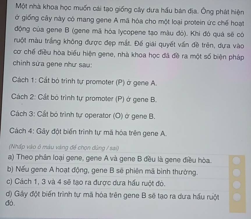 Một nhà khoa học muốn cải tạo giống cây dưa hấu bàn địa. Ông phát hiện
ở giống cây này có mang gene A mã hóa cho một loại protein ức chế hoạt
động của gene B (gene mã hóa lycopene tạo màu đỏ). Khi đó quả sẽ có
muột màu trắng không được đẹp mắt. Đế giải quyết vấn đề trên, dựa vào
cơ chế điều hòa biểu hiện gene, nhà khoa học đã đề ra một số biện pháp
chỉinh sửa gene như sau:
Cách 1: Cắt bỏ trình tự promoter (P) ở gene A.
Cách 2: Cắt bỏ trình tự promoter (P) ở gene B.
Cách 3: Cắt bỏ trình tự operator (O) ở gene B.
Cách 4: Gây đột biến trình tự mã hóa trên gene A.
(Nhấp vào ô màu vàng đế chọn đúng / sai)
a) Theo phân loại gene, gene A và gene B đều là gene điều hòa.
b) Nếu gene A hoạt động, gene B sẽ phiên mã bình thường.
c) Cách 1, 3 và 4 sẽ tạo ra được dưa hấu ruột đỏ.
d) Gây đột biến trình tự mã hóa trên gene B sẽ tạo ra dưa hấu rưột
đỏ.