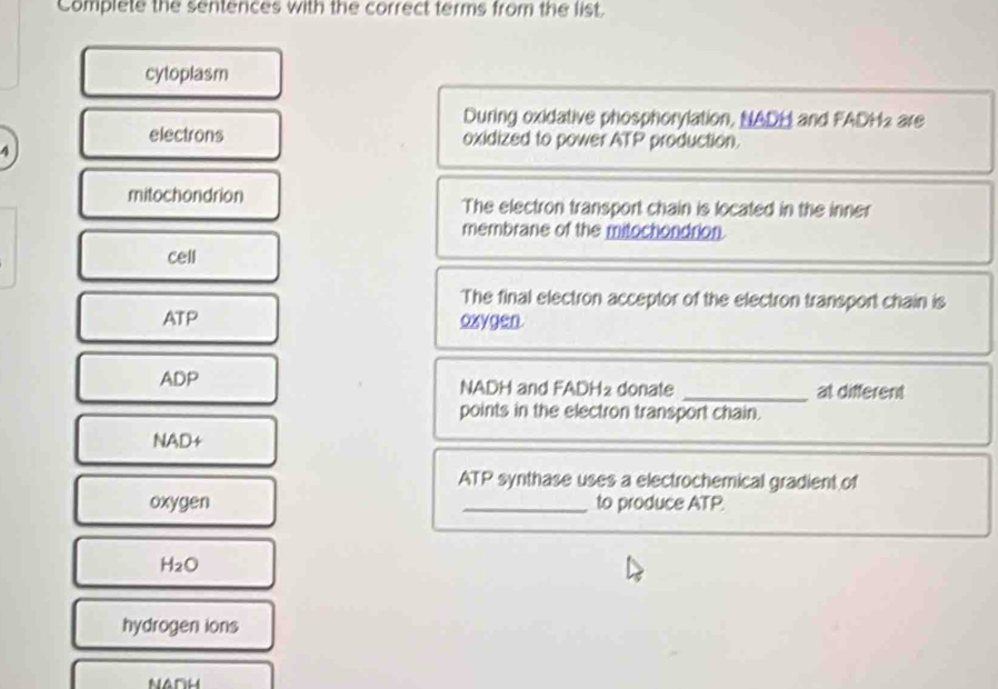 Complete the sentences with the correct terms from the list. 
cytoplasm 
During oxidative phosphorylation, NADH and FADH2 are 
electrons oxidized to power ATP production. 
4 
mitochondrion The electron transport chain is located in the inner 
membrane of the mitochondrion.
C61
The final electron acceptor of the electron transport chain is
ATP exygen.
ADP NADH and F ADH_2 donate _at different 
points in the electron transport chain.
NAD+
ATP synthase uses a electrochemical gradient of
oxygen _to produce ATP
H_2O
hydrogen ions
nadh