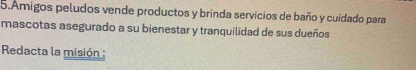 Amigos peludos vende productos y brinda servicios de baño y cuidado para 
mascotas asegurado a su bienestar y tranquilidad de sus dueños 
Redacta la misión :