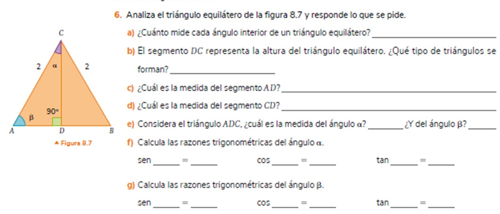 Analiza el triángulo equilátero de la figura 8.7 y responde lo que se pide.
a) ¿Cuánto mide cada ángulo interior de un triángulo equilátero?_
b) El segmento DC representa la altura del triángulo equilátero. ¿Qué tipo de triángulos se
forman?_
c) ¿Cuál es la medida del segmento A D?_
d) ¿Cuál es la medida del segmento CD?_
e) Considera el triángulo ADC, ¿cuál es la medida del ángulo α? _¿Y del ángulo β?_
▲ Figura 8.7f) Calcula las razones trigonométricas del ángulo α.
sen_ = _cOS_ = _tan_ =_
g) Calcula las razones trigonométricas del ángulo β.
__
_
_
sen = cOs = tan =
__