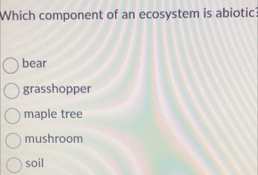 Which component of an ecosystem is abiotic?
bear
grasshopper
maple tree
mushroom
soil