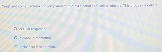 Yeast and some bacteria convert pyruvate to ethyl alcohol and carbon dioxide. This process is called
cellular respiration.
alcohol fermentation.
lactic acid fermentation.