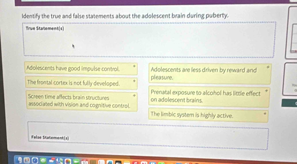 Identify the true and false statements about the adolescent brain during puberty.
True Statement(s)
Adolescents have good impulse control. Adolescents are less driven by reward and
pleasure.
The frontal cortex is not fully developed.
Prenatal exposure to alcohol has little effect
Screen time affects brain structures on adolescent brains.
associated with vision and cognitive control.
The limbic system is highly active.
False Statement(s)