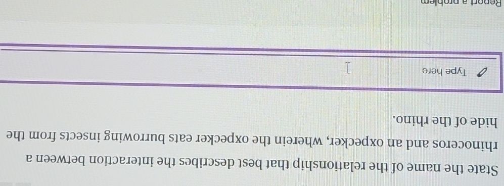 State the name of the relationship that best describes the interaction between a 
rhinoceros and an oxpecker, wherein the oxpecker eats burrowing insects from the 
hide of the rhino. 
Type here 
Renort a problem