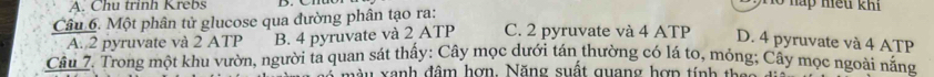 A. Chu trinh Krebs
Ho háp hiếu khi
Câu 6. Một phân tử glucose qua đường phân tạo ra: C. 2 pyruvate và 4 ATP D. 4 pyruvate và 4 ATP
A. 2 pyruvate và 2 ATP B. 4 pyruvate và 2 ATP
Câu 7. Trong một khu vườn, người ta quan sát thấy: Cây mọc dưới tán thường có lá to, mỏng; Cây mọc ngoài nắng
xàu xanh đâm hợn. Năng suất quang hợp tính tha