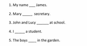 My name _James. 
2. Mary _secretary. 
3. John and Lucy _at school. 
_ 
4. 1 a student. 
5. The boys _in the garden.