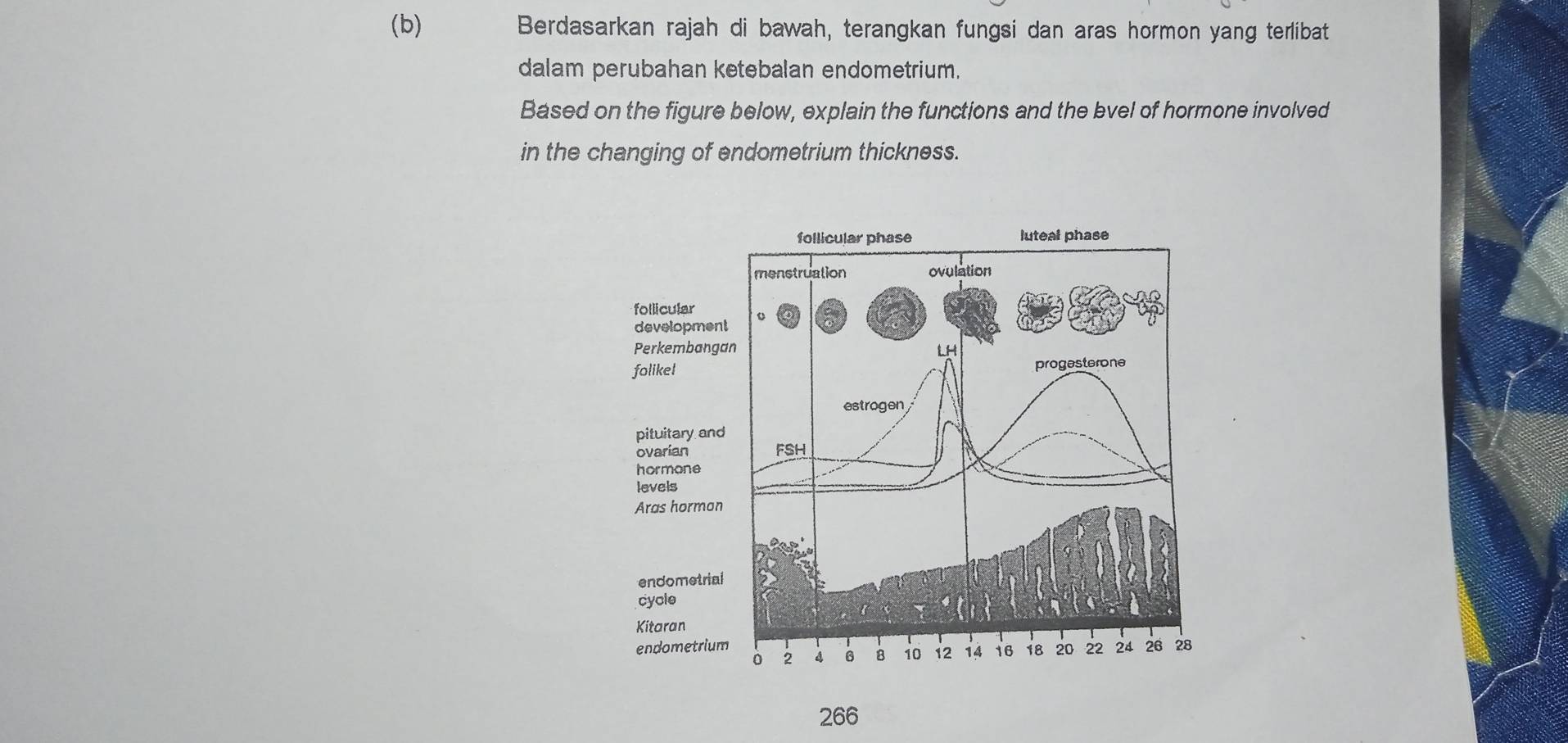 Berdasarkan rajah di bawah, terangkan fungsi dan aras hormon yang terlibat 
dalam perubahan ketebalan endometrium. 
Based on the figure below, explain the functions and the evel of hormone involved 
in the changing of endometrium thickness. 
266