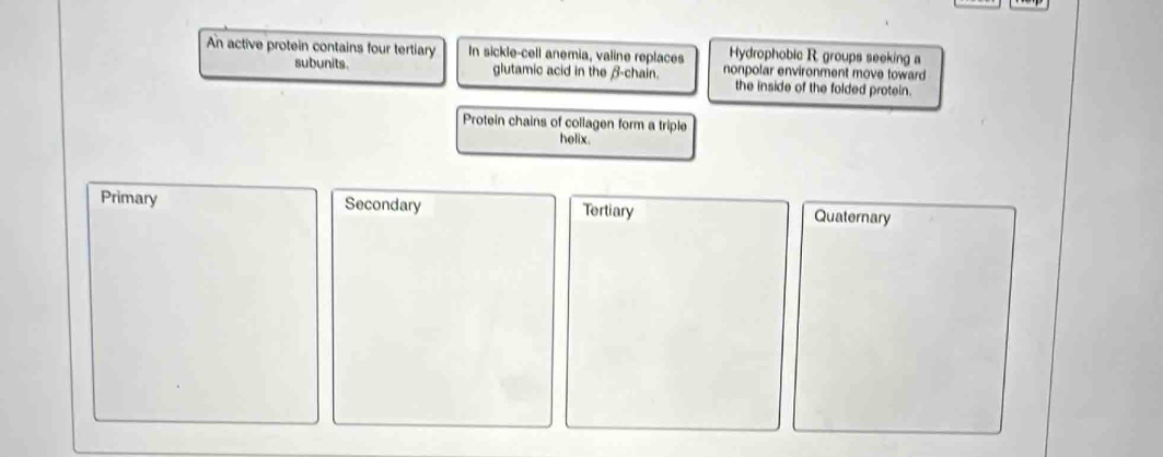 An active protein contains four tertiary In sickle-cell anemia, valine replaces Hydrophobic R, groups seeking a
subunits. glutamic acid in the β -chain. nonpolar environment move toward
the inside of the folded protein.
Protein chains of collagen form a triple
helix.
Primary Secondary Tertiary Quaternary