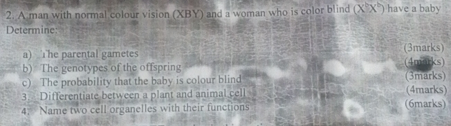 A man with normal colour vision (XBY) and a woman who is color blind (X^bX^b) have a baby 
Determine: 
a) The parental gametes (3marks) 
b) The genotypes of the offspring (4marks) 
c) The probability that the baby is colour blind (3marks) 
3. Differentiate between a plant and animal cell (4marks) 
4. Name two cell organelles with their functions (6marks)