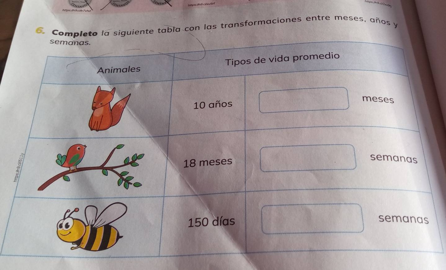 ente tabla con las transformaciones entre meses, años y