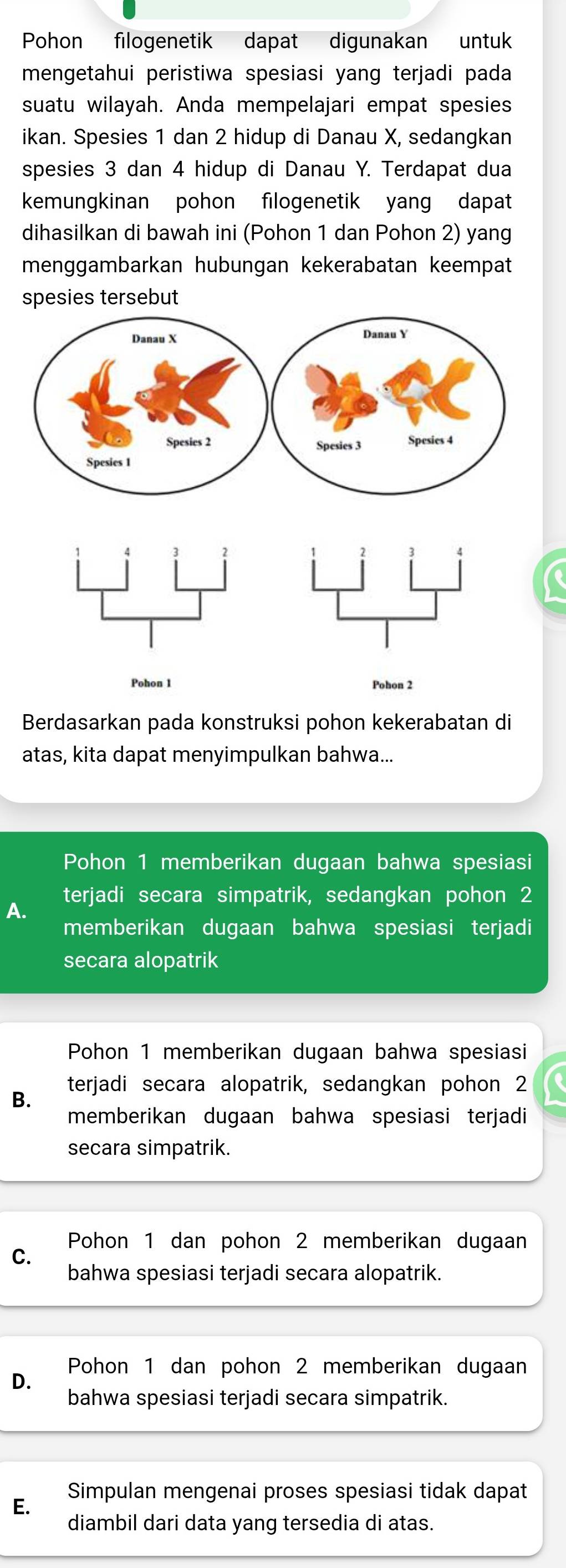 Pohon filogenetik dapat digunakan untuk
mengetahui peristiwa spesiasi yang terjadi pada
suatu wilayah. Anda mempelajari empat spesies
ikan. Spesies 1 dan 2 hidup di Danau X, sedangkan
spesies 3 dan 4 hidup di Danau Y. Terdapat dua
kemungkinan pohon filogenetik yang dapat
dihasilkan di bawah ini (Pohon 1 dan Pohon 2) yang
menggambarkan hubungan kekerabatan keempat
spesies tersebut
Berdasarkan pada konstruksi pohon kekerabatan di
atas, kita dapat menyimpulkan bahwa...
Pohon 1 memberikan dugaan bahwa spesiasi
terjadi secara simpatrik, sedangkan pohon 2
A.
memberikan dugaan bahwa spesiasi terjadi
secara alopatrik
Pohon 1 memberikan dugaan bahwa spesiasi
B. terjadi secara alopatrik, sedangkan pohon 2
memberikan dugaan bahwa spesiasi terjadi
secara simpatrik.
Pohon 1 dan pohon 2 memberikan dugaan
C.
bahwa spesiasi terjadi secara alopatrik.
D. Pohon 1 dan pohon 2 memberikan dugaan
bahwa spesiasi terjadi secara simpatrik.
E. Simpulan mengenai proses spesiasi tidak dapat
diambil dari data yang tersedia di atas.