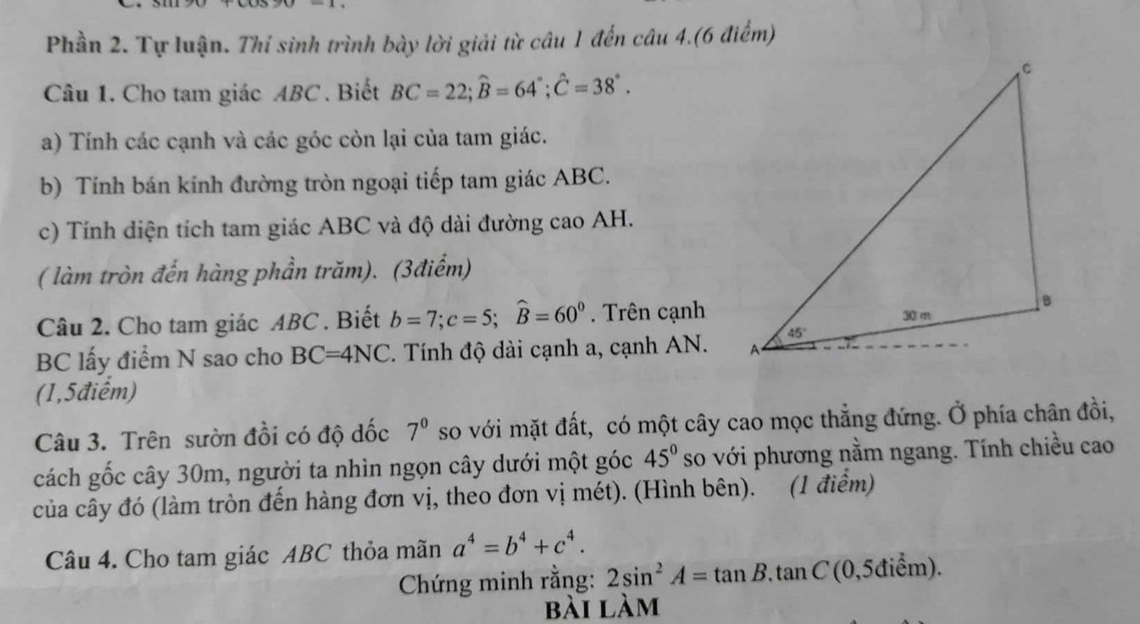 Phần 2. Tự luận. Thỉ sinh trình bày lời giải từ câu 1 đến câu 4.(6 điểm)
Câu 1. Cho tam giác ABC . Biết BC=22;widehat B=64°;hat C=38°.
a) Tính các cạnh và các góc còn lại của tam giác.
b) Tính bán kính đường tròn ngoại tiếp tam giác ABC.
c) Tính diện tích tam giác ABC và độ dài đường cao AH.
( làm tròn đến hàng phần trăm). (3điểm)
Câu 2. Cho tam giác ABC . Biết b=7;c=5;widehat B=60°. Trên cạnh
BC lấy điểm N sao cho BC=4NC *. Tính độ dài cạnh a, cạnh AN.
a 
(1,5điểm)
Câu 3. Trên sườn đồi có độ dốc 7^0 so với mặt đất, có một cây cao mọc thẳng đứng. Ở phía chân đồi,
cách gốc cây 30m, người ta nhìn ngọn cây dưới một góc 45° so với phương nằm ngang. Tính chiều cao
của cây đó (làm tròn đến hàng đơn vị, theo đơn vị mét). (Hình bên). (1 điểm)
Câu 4. Cho tam giác ABC thỏa mãn a^4=b^4+c^4.
Chứng minh rằng: 2sin^2A=tan B.tan C (0,5điểm).
bài làm