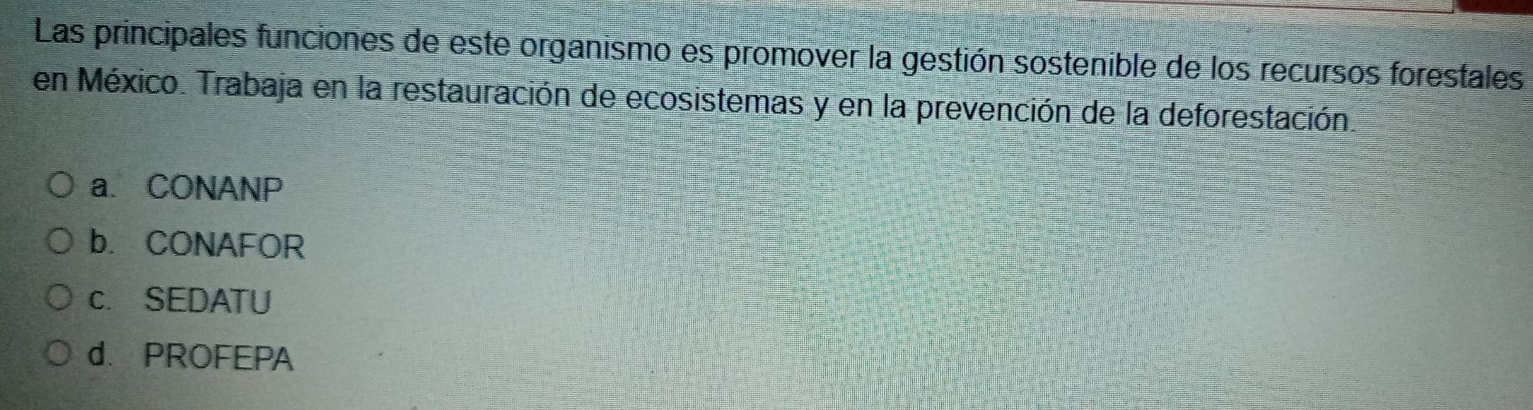 Las principales funciones de este organismo es promover la gestión sostenible de los recursos forestales
en México. Trabaja en la restauración de ecosistemas y en la prevención de la deforestación.
a. CONANP
b. CONAFOR
c. SEDATU
d. PROFEPA