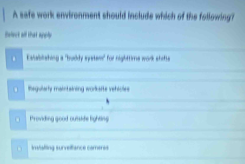 A safe work environment should include which of the following?
Select all that apply
Establishing a "buddy system" for nighttims work shifts
Regularly maintaining worksite vehicles
Providing good outside lighting
stalling surveillance cameras