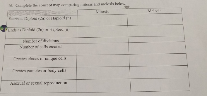 mparing mitosis and meiosis below.