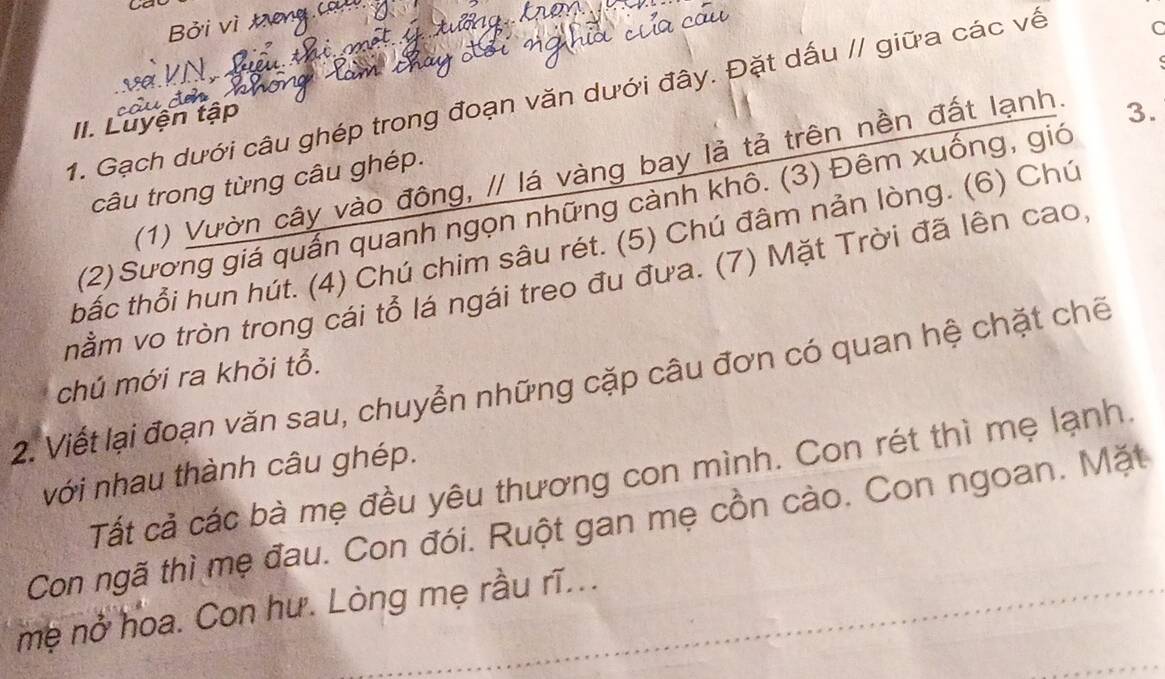 Bởi vì C 
N 
1. Gạch dưới câu ghép trong đoạn văn dưới đây. Đặt dấu // giữa các về 
II. Luyện tập 
(1) Vườn cây vào đông, // lá vàng bay là tả trên nền đất lạnh. 
3. 
câu trong từng câu ghép. 
(2) Sương giá quấn quanh ngọn những cảnh khô. (3) Đêm xuống, giớ 
tbắc thổi hun hút. (4) Chú chim sâu rét. (5) Chú đâm nản lòng. (6) Chú 
nằm vo tròn trong cái tổ lá ngái treo đu đưa. (7) Mặt Trời đã lên cao, 
chú mới ra khỏi tỗ. 
2. Viết lại đoạn văn sau, chuyển những cặp câu đơn có quan hệ chặt chế 
Tất cả các bà mẹ đều yêu thương con mình. Con rét thì mẹ lạnh. 
với nhau thành câu ghép. 
Con ngã thì mẹ đau. Con đói. Ruột gan mẹ cồn cào. Con ngoan. Mặt 
mẹ nở hoa. Con hư. Lòng mẹ rầu rĩ...